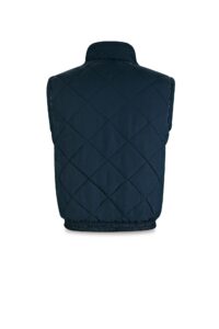 288_VERA-extra-1